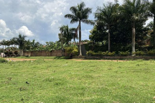 Featured Properties